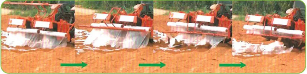 High-volume rinsing chamber of ORATEXCA BG-2000 seed disinfector