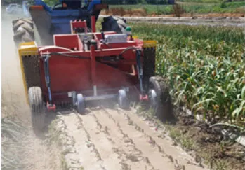 Close-up view of drive gear and chain tensioner assembly for ORATEXCA garlic cutter