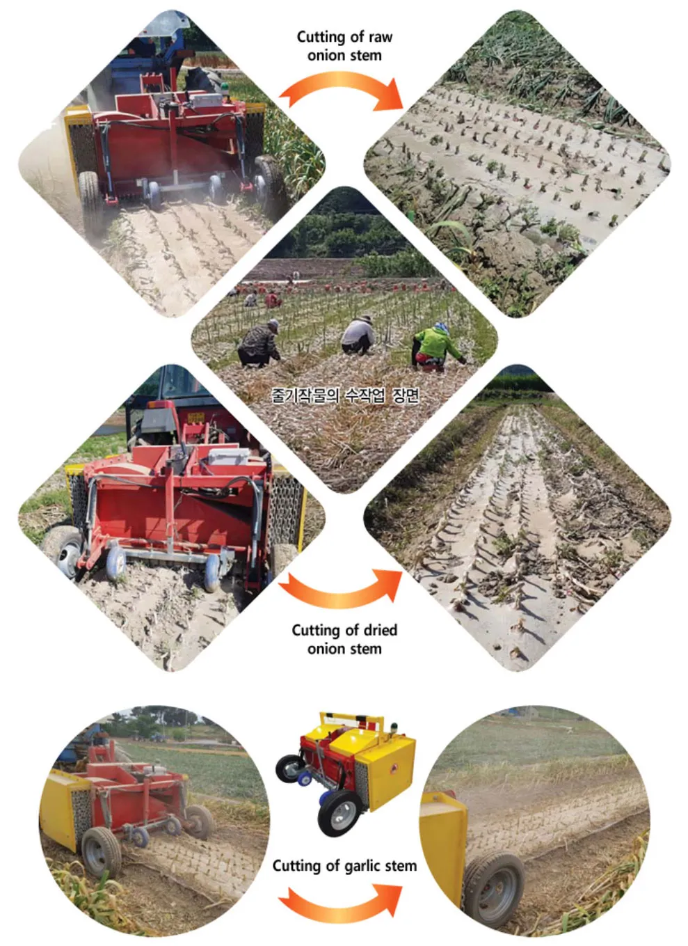 Medium shot of internal gears and chain system of ORATEXCA garlic cutter with protective cage