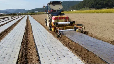 Close-up side view of ORATEXCA GK7 BG-series furrowers covering mulch edges with soil