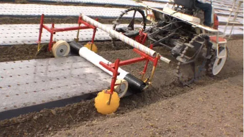 Close up of ORATEXCA GK7 BG-2005 universal mulch layer in action