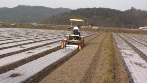 ORATEXCA GK7 BG-2005 laying plastic mulch with riding cultivator