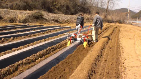 Two farmers operating the ORATEXCA GK7 BG-777B manual mulch layer