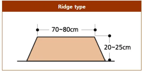 Optimized ridge dimensions for 2 row potato planting by ORATEXCA BG-900