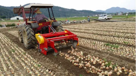 ORATEXCA GK7 tractor implement operating in an onion field