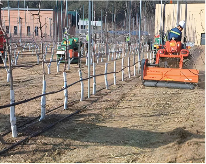 ORATEXCA GK7 PUM mulcher clearing agricultural waste