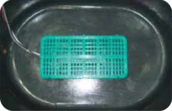 Positioning the base in the container for ORATEXCA GK7 seed germinator