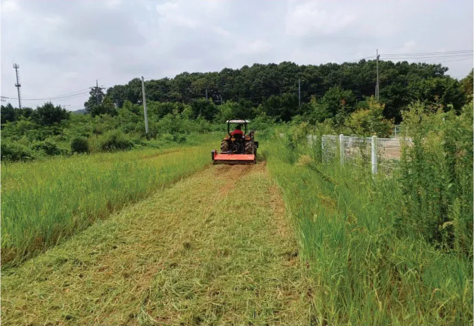 ORATEXCA GK7 SJ series mower cutting tall grass along a fence line